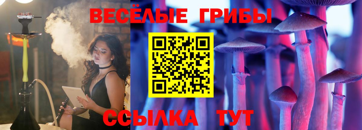Псилоцибиновые грибы мицелий Людиново